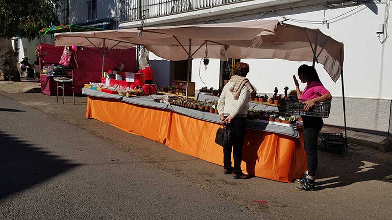 El Hoyo acoge la tercera edicin de su feria gastronmica