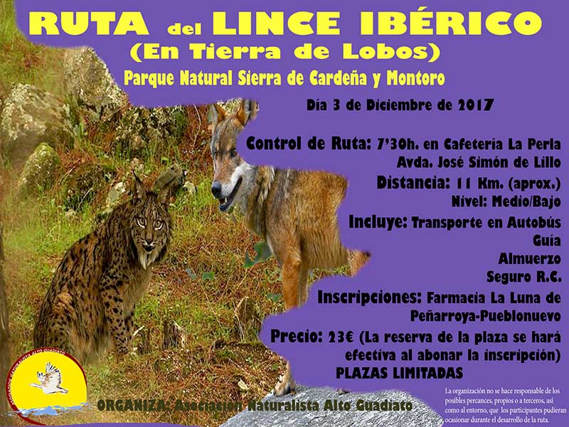 Ruta del Lince Ibrico