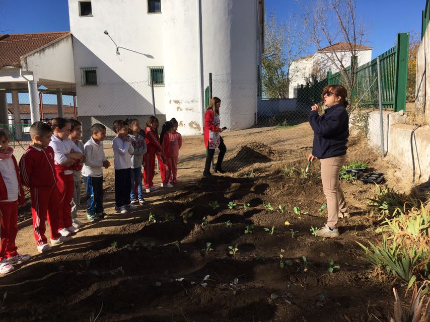 Huerto escolar CEIP Aurelio Snchez