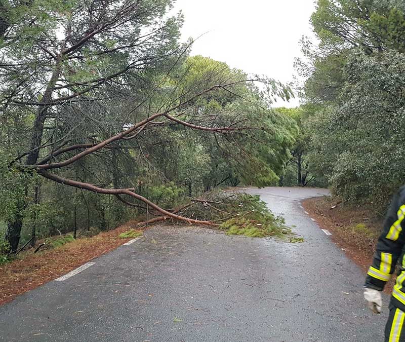 Daos del temporal en el Guadiato