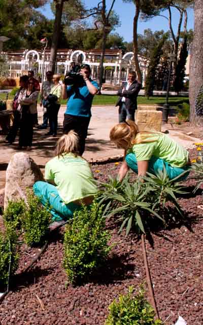 Adecentamiento de edificios y jardines pblicos,