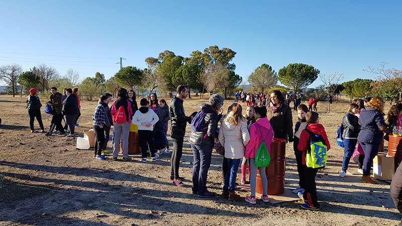 Reforestando la Va Verde