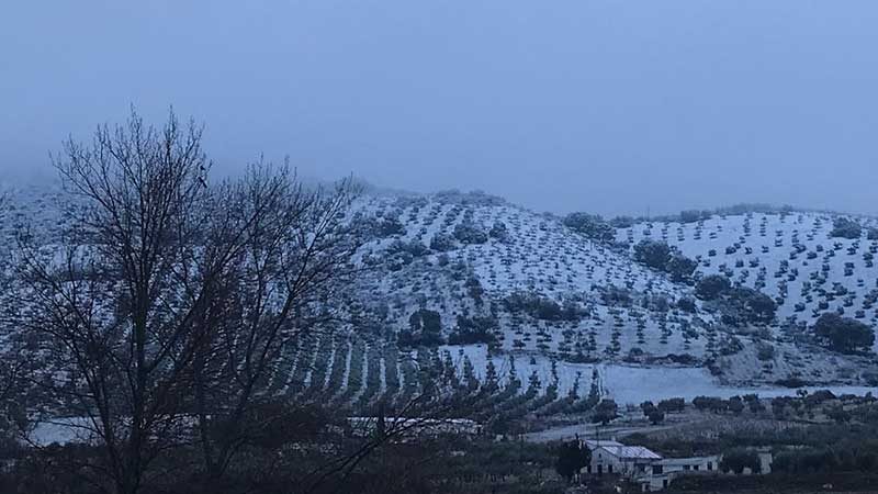 La nieve hace acto de presencia en el Guadiato