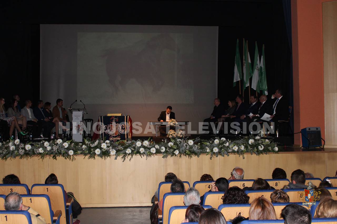 Gala entrega medallas de plata `Ciudad de Hinojosa`