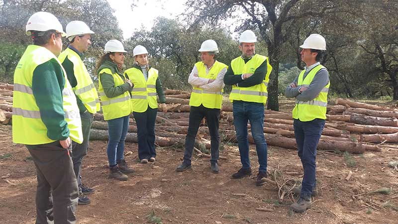 4.100 toneladas de madera en el monte pblico Cabeza Aguda