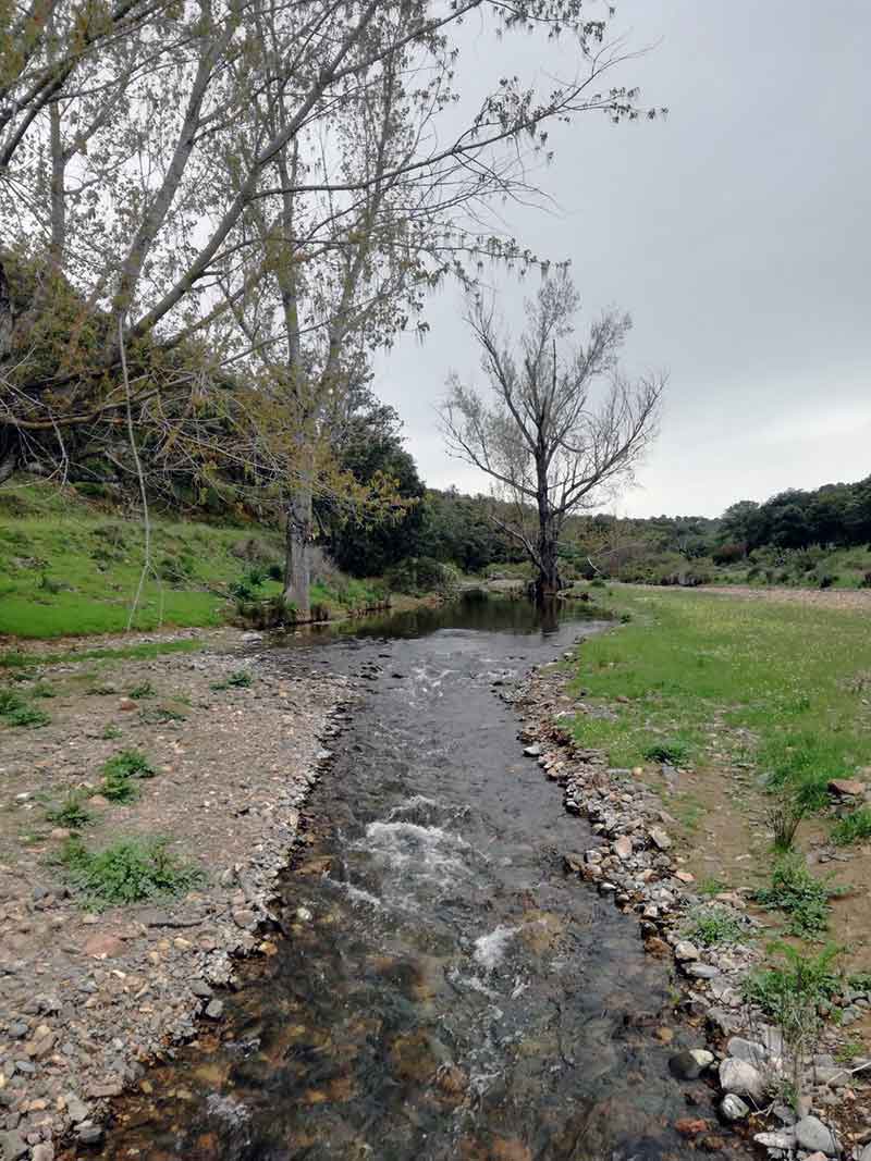 Ruta ornitolgica por el Ro Benajarafe