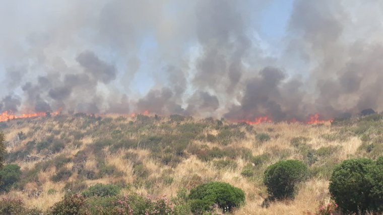 Declarado un incendio forestal en Los Blzquez