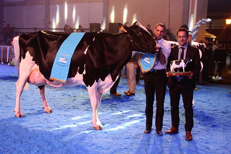 La Feria del Ganado Frisn atrae a ms pblico profesional