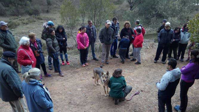 La Granjuela se une tambin a la mocin de ASAJA contra el lobo