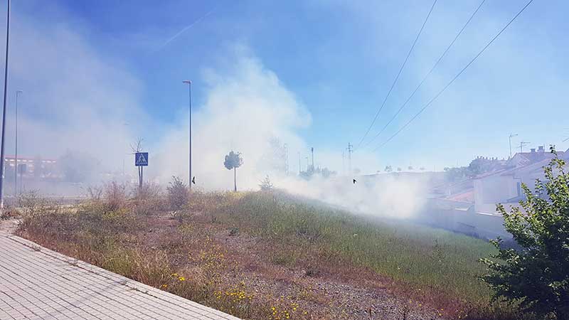 Un incendio arrasa unos 300 metros de pastizal