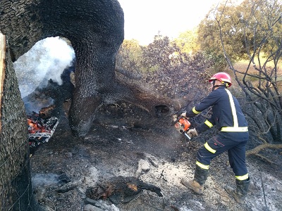 Un incendio arrasa 1.500 metros de monte bajo en la sierra de El Hoyo