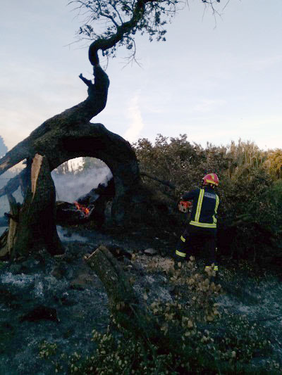 Un incendio arrasa 1.500 metros de monte bajo en la sierra de El Hoyo