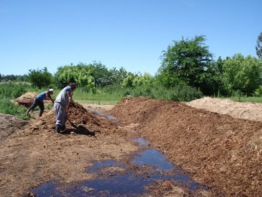 Proceso de compostaje