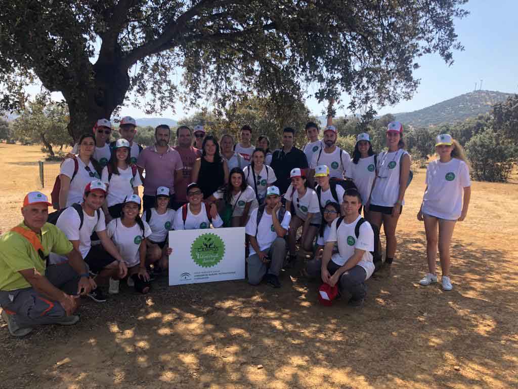 Campo de voluntariado juvenil en Villanueva del Rey