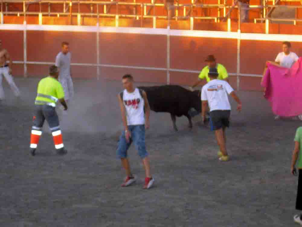 Feria  2010 en Espiel