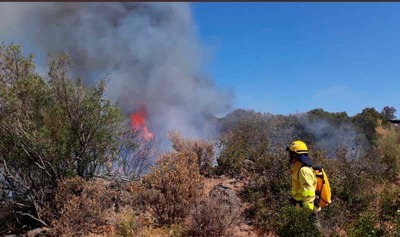 Estabilizado el incendio en Villanueva del Rey