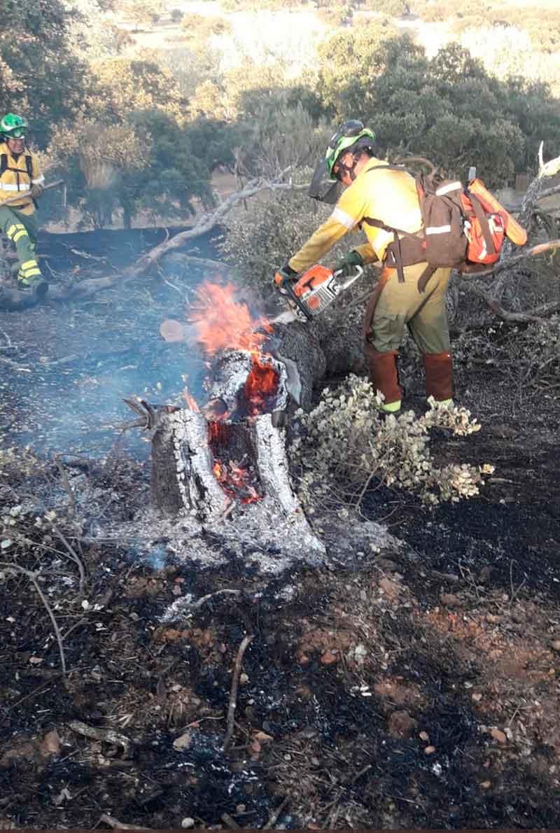 Estabilizado el incendio en Villanueva del Rey