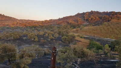 Estabilizado el incendio en Villanueva del Rey