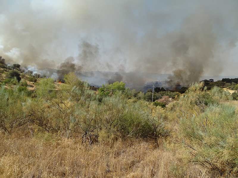 Incendio forestal en Villanueva del Rey