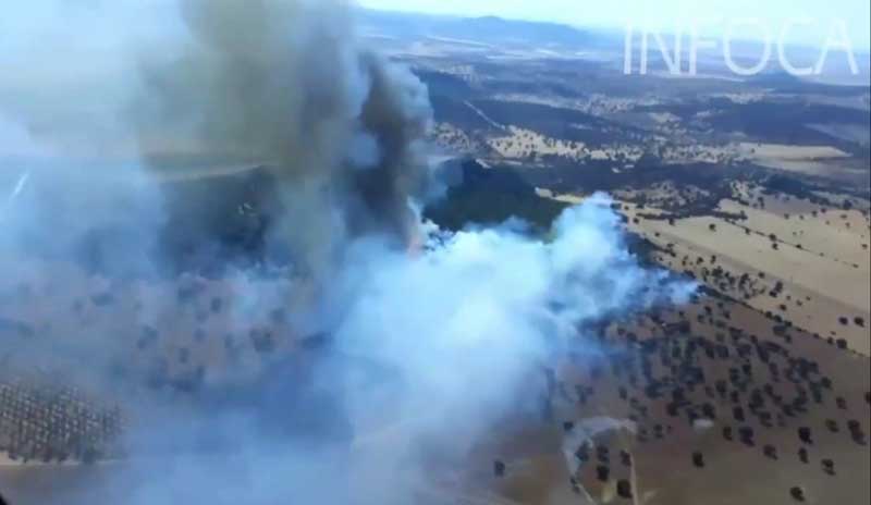 El incendio se ha provocado en la tarde de este lunes 