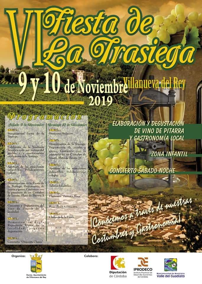 VI Fiesta de la Trasiega