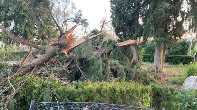 El temporal causa daos en municipios del Guadiato