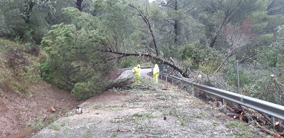 Varias carreteras cortadas y arroyos desbordados