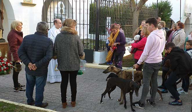 Fuente Obejuna celebra San Antn 2020