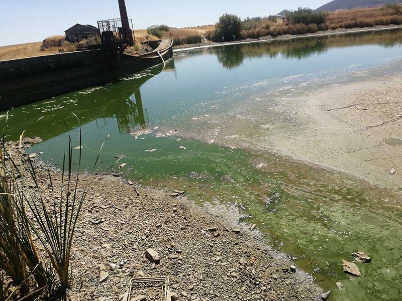 Desastre ecolgico en el embalse