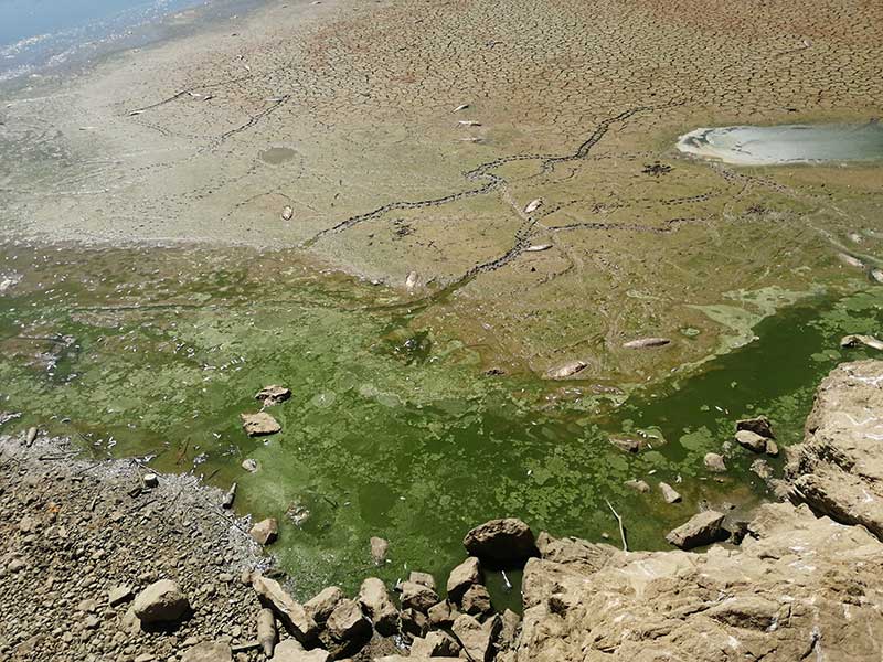 Desastre ecolgico en el embalse