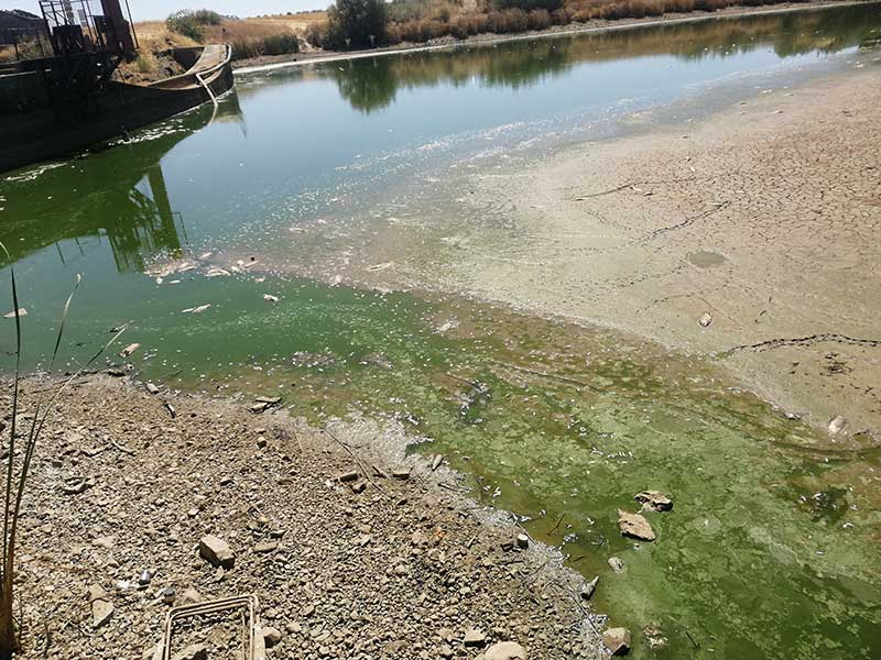 Desastre ecolgico en el embalse