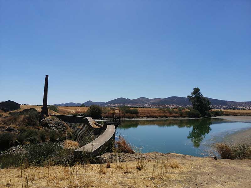 Desastre ecolgico en el embalse