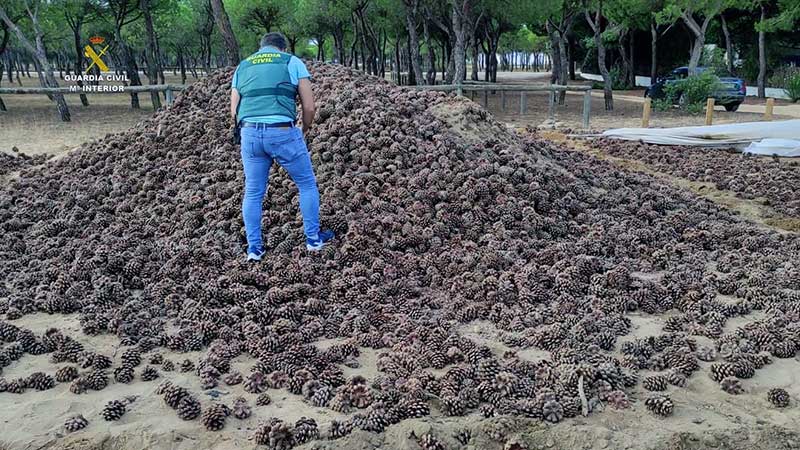 Diez detenidos tras desarticular un grupo crimina