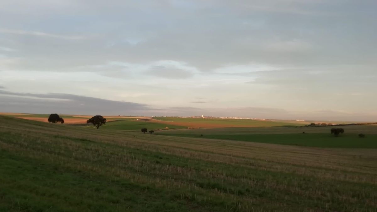 Campo de cultivo afectado por la ZEPA del Guadiato