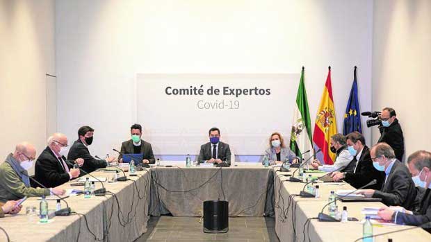 Comit de Expertos de la Junta de Andaluca