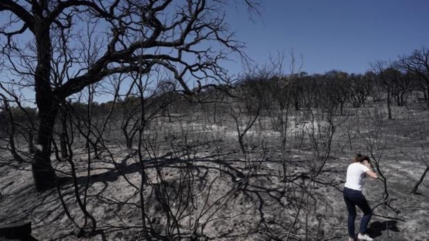 El incendio de Alcaracejos - Efe