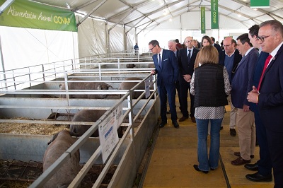 Feria Agroganadera y Agroalimentaria de Los Pedroches