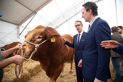 Feria Agroganadera y Agroalimentaria de Los Pedroches