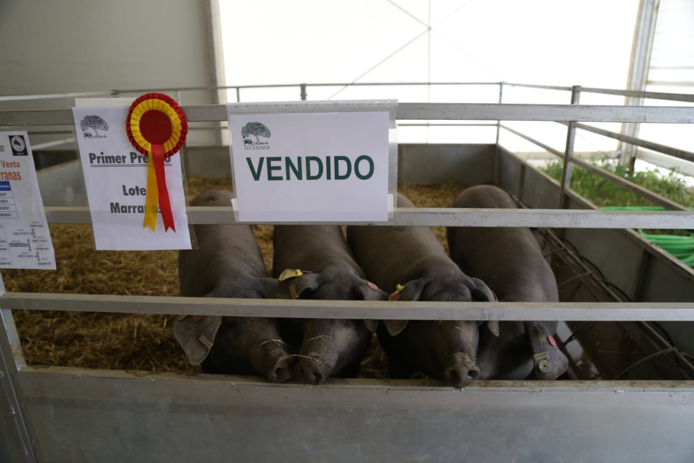 Segunda jornada de la Feria Agroganadera 