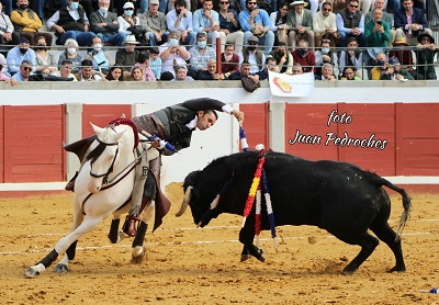 Grandiosa tarde de toros en Pozoblanco