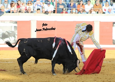 Grandiosa tarde de toros en Pozoblanco