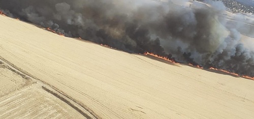 Incendio en Fuente Obejuna