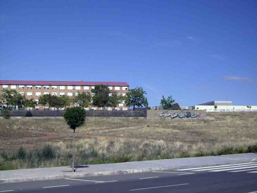 Ducalpn construir 400 viviendas en Cerro camello