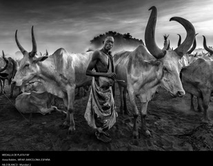 7 premio Rosablanca de fotografía 2022