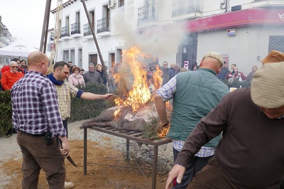 Fiesta de la Matanza de Alcaracejos