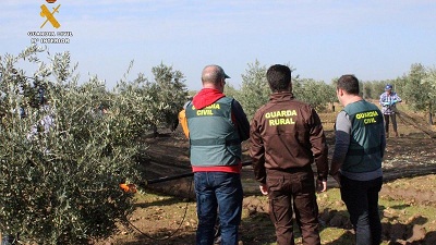 Un momento de la operacin desarrollada en Pearroya-Pvo. 