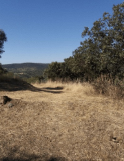 La Junta mejorar el Camino de Santiago 