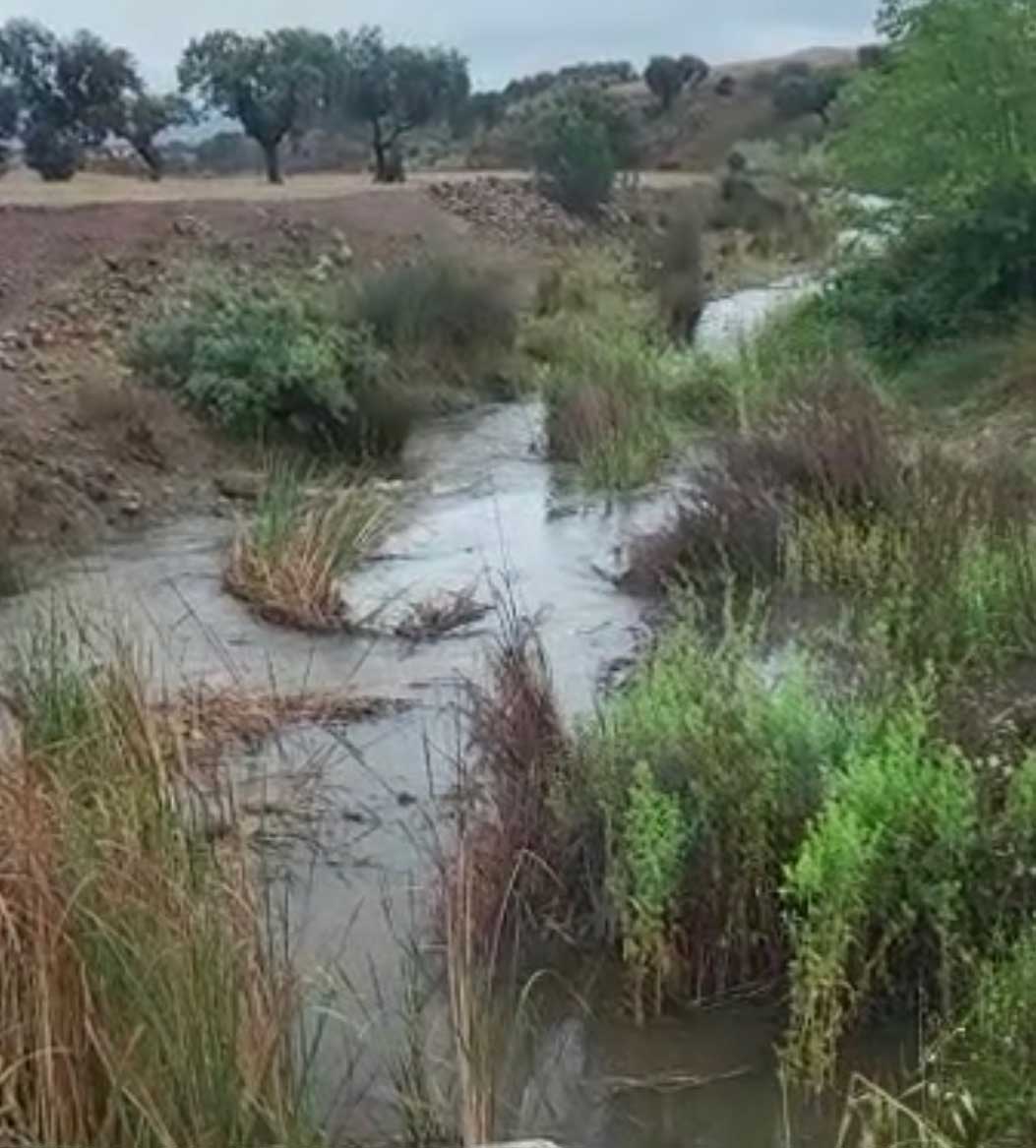 El Pantano de Sierra Boyera renace