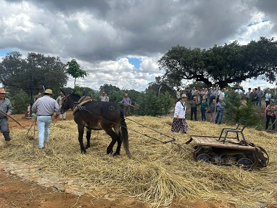 X Fiesta de la Siega en Ojuelos Altos