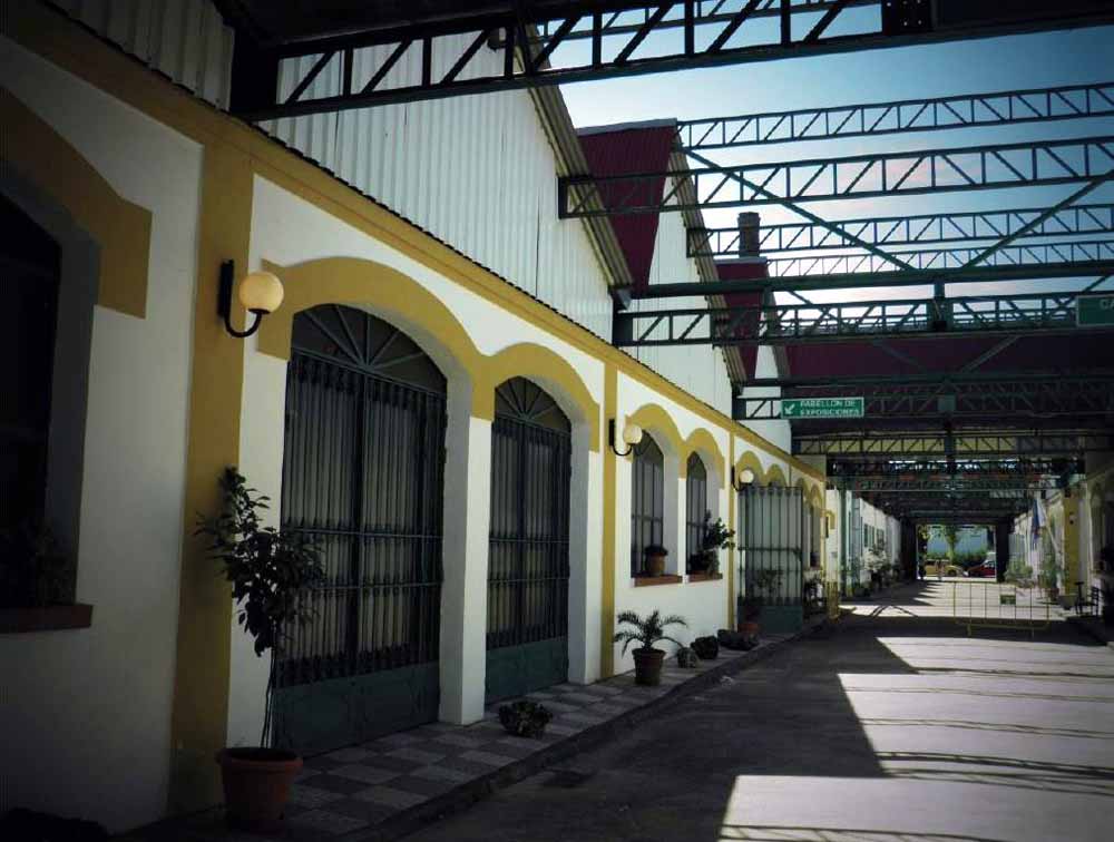 Expoguadiato/10